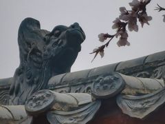 -桃花堤公园