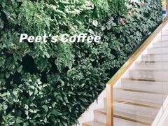 -Peet's Coffee皮爷咖啡(大学路店)