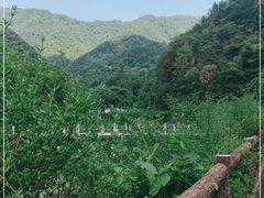 -石台牯牛降景区