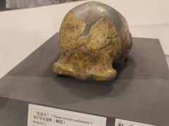 -北京周口店北京人遗址博物馆