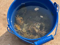 -青岛第三海水浴场