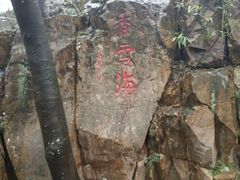 -香雪海