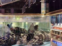 -阿伟海鲜楼·福建菜(延寿店)