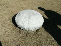 -上海滴水湖皇冠假日酒店