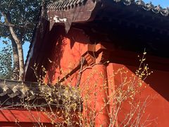 -包公祠