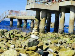 -养马岛旅游度假区