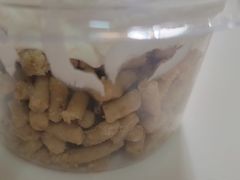 -红宝石·鲜奶小方(昌里店)