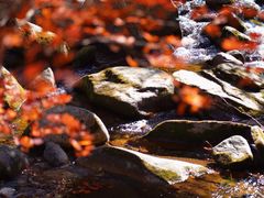 -本溪老边沟风景区