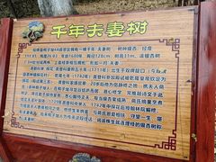-零陵古城