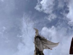 -比如骷髅墙景区