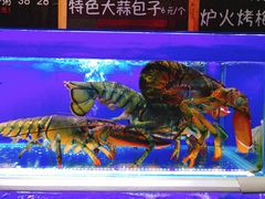 -船梆煮•蒸汽海鲜·炉火烤肉(五四广场店)