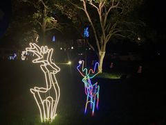 -君来湖滨饭店·玫瑰园