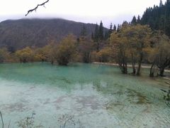 -黄龙山原始森林景区