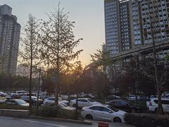 -大龙老火锅·总店(龙头寺店)