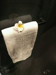 -THANN EXPRESS SPA