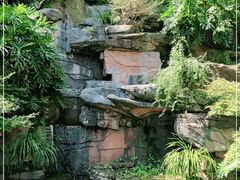 -南山植物园