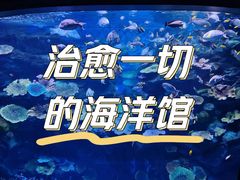 -暹罗海洋世界
