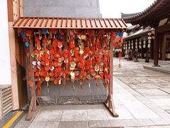 -海合安苏州阳澄半岛乐园