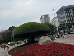 -南宁南湖公园