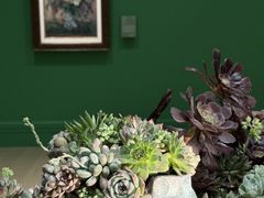 -德基艺术博物馆