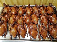 -南粤光明乳鸽(宝安中心店)