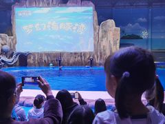 -华夏文旅海洋公园