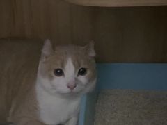 -瑞鹏宠物医院·内科·中兽医·骨科(苗圃店)