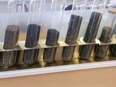 -雾与山茶(大禹城店)