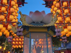 -特克斯八卦城
