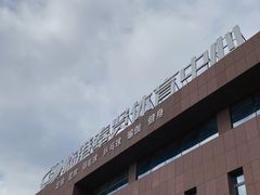 -临港奉贤体育中心