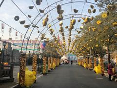 -锦江乐园舞狸花花游园会(夜场专享)