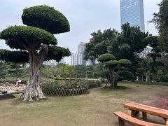 -南宁南湖公园