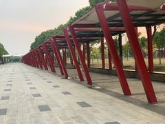 -如皋市龙游湖欢乐世界