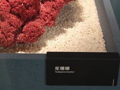 -中国湿地博物馆