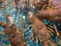 -驻海渔市(置信店)