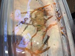 罗氏虾-盒马鲜生(曜一城店)