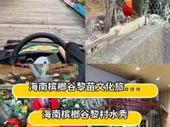 -海南槟榔谷黎苗文化旅游区