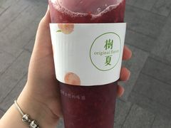 树夏杨梅-树夏(鹭洲里店)