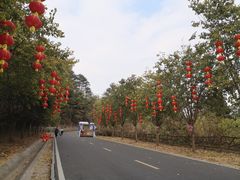 -白云山风景名胜区