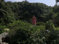 -陶祖圣境风景区