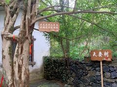 -桂林古东瀑布景区