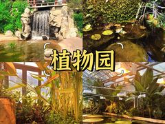 -国家植物园