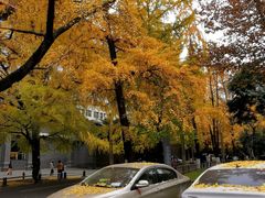 -四川大学(华西校区)