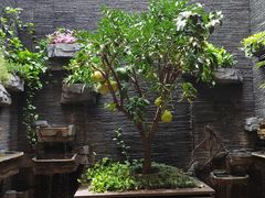 -顺德渔村·岭南一号