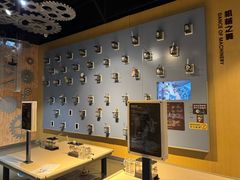 -中国宋庆龄青少年科技文化交流中心