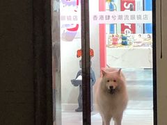 -肆兮眼镜·蔡司·徕卡战略合作店(大坪店)