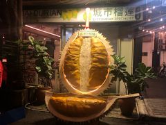 -都念榴莲·城市榴莲
