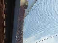 -杭州野生动物世界