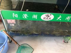 -阳澄湖大闸蟹·琼灵阁牌品牌连锁(吴中总店)