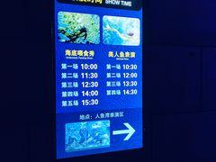 -哈尔滨波塞冬海底世界